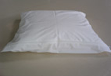 Picture of Pillow protection